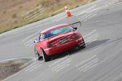 media/Nov-18-2023-Extreme Speed (Sat) [[10c227f63a]]/2-Green/Rear shots/
